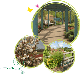 Children's Hospice South West sensory gardens